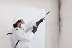 Complete Mold Remediation